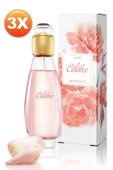Celebre Kadın Parfüm Edt 50 Ml. Üçlü Set thumbnail 4