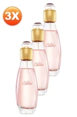 Celebre Kadın Parfüm Edt 50 Ml. Üçlü Set thumbnail 3