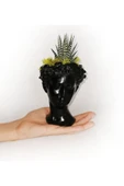 Atena Serisi Haworthia thumbnail 4