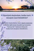 3 Adet Otantik Saksıda Çiçek Aranjmanı Seti thumbnail 2
