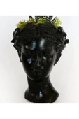 Atena Serisi Haworthia thumbnail 3