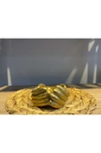 Kobal Avuç Saksı , Kase - Küçük Boy - Gold- thumbnail 2