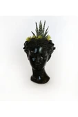 Atena Serisi Haworthia thumbnail 1