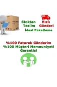 Saksıda Aşk Merdiveni Çiçeği ( 14 Lük Saksıda) Neprolepsis thumbnail 3