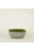 Çift Taban Bonsai, Orkide ve Aranjman Saksısı thumbnail 3