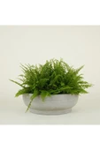 Çift Taban Bonsai, Orkide ve Aranjman Saksısı thumbnail 2