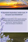 2 adet dekoratif saksıda Çiçek aranjmanı thumbnail 3