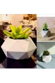 Geometrik Saksılarda 3 Adet Kaktüs thumbnail 2