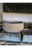 Beton orkide bonsai ve aranjman saksısı thumbnail 4