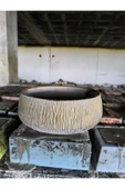 Beton orkide bonsai ve aranjman saksısı thumbnail 3