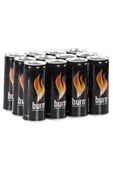 Enerji Iceceği 250 ml 12 Adet thumbnail 1