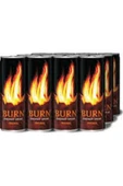 Enerji 250 ml 12 Li Paket thumbnail 1