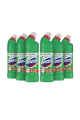 DOMESTOS Dağ Esintisi 750 ml x 6 thumbnail 1