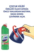 DOMESTOS Dağ Esintisi 750 ml x 6 thumbnail 4