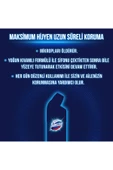 1989 GR DAĞ ESİNTİSİ thumbnail 5