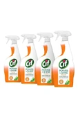 Power & Shine Mutfak Sprey 750 ml - 4'lü Paket thumbnail 3