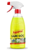 Sarı Güç Ve Mavi Güç thumbnail 2