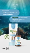 Erbatab Alg Yağı Omega 3 30 ml thumbnail 4