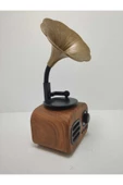 Proton Nostaljik Mini Bluetooth Radyo Gramafon Speaker thumbnail 1
