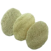 Loofah ( Kabak ) 3 lü Disk thumbnail 2