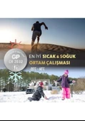 Gp Cr2032 Dl2032 3 V Pil thumbnail 4