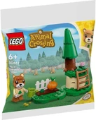Lego 30662 Maple'S Pumpkin Garden - Yeni. thumbnail 1