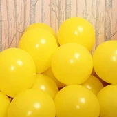 PASTEL BALON SARI 10 ADET thumbnail 2