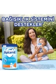 Aptamil Devam Sütü 4 Numara 1200 Gr thumbnail 3