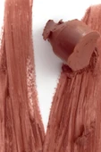 Rhode Peptit Destekli Dudak Kalemi Lean 0.75GR thumbnail 2