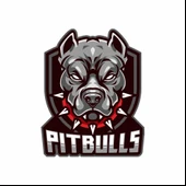 Pitbull Sticker 10x10 cmRenkli Sticker thumbnail 1