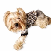 Leopar Softie Sweat Köpek Kıyafeti thumbnail 2