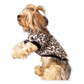 Leopar Softie Sweat Köpek Kıyafeti thumbnail 3