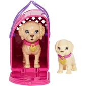 Barbie ve Köpekçikleri Oyun Seti thumbnail 2