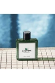 Lacoste Original Edp 100 ml Erkek Parfüm thumbnail 2