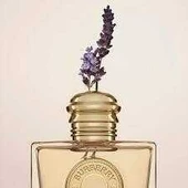 Burberry Goddess Edp 50 ml thumbnail 4