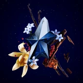 Thierry Mugler Angel Elixir Refillable Edp 100 ml thumbnail 3