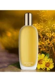 Clinique Aromatics Elixir 100 ml Edp Kadın Parfüm thumbnail 3