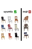 Bemrax Esnek Sandalye Örtüsü, Yıkanabilir thumbnail 3
