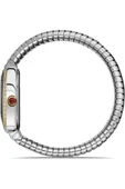 MOMENTUS Ss256t-02sg thumbnail 2