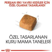 Persian Kitten Kedi Maması - 2 kg thumbnail 4