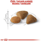 Exigent Kedi Maması - 10 kg thumbnail 4