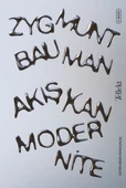 Akışkan Modernite thumbnail 2