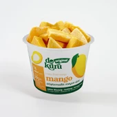 Dokuru Dondurularak Kurutulmuş Mango 20 gr 1 ADET thumbnail 1