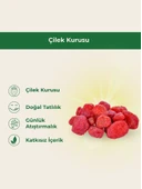 Çilek Kurusu 1 KİLOGRAM thumbnail 2