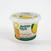 Dokuru Dondurularak Kurutulmuş Mango 20 gr 1 ADET thumbnail 5