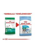Mini Puppy 4 kg thumbnail 3