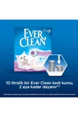 Lavender 10l Kedi Kumu thumbnail 8