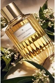 E.LAUDER PARADISE MOON 100ml EDP thumbnail 3