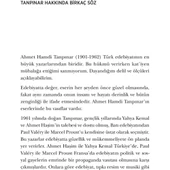Huzur - Ahmet Hamdi Tanpınar thumbnail 2