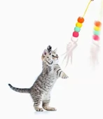 Elastik Kendinden Yapışkanlı Solucan Kedi Oltası thumbnail 3